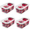 4 Pack 17 Quart Clear Storage Bin, Latched Storage Container with Divider