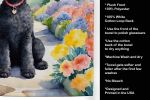 Black Poodle Spring Path Kitchen Towel Dish Cloths Guest Hand Towel Decorative Bathroom Towel for Face,Tea, Dishcloth, Kitchen and Bath
