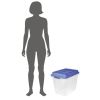 4 Pack 32 Quart Clear Storage Bin, Latched Storage Container, with Blue HI-RISE Lid
