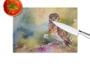 NEW Burrowing Owl Glass Cutting Board Decorative Tempered Glass Kitchen Cutting and Serving Board Large Size Chopping Board