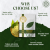 Pride Of India | Natural Neem/Margosa Herb Powder 8 oz (227 gm) | Nutrient-Rich Superfood | Add it to Smoothies, Juices & Dips | Bitter